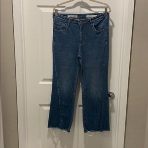 Anthropologie jeans
